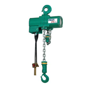FLAMEPROOF AIR CHAIN HOIST JDN MINI